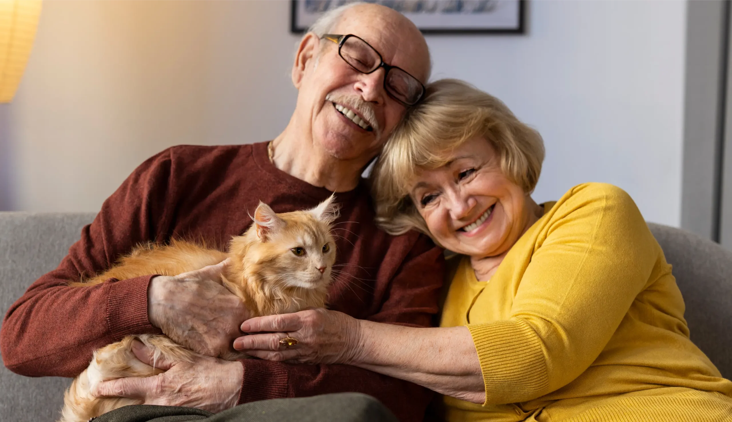 IQ fairprofit fullscreen 1