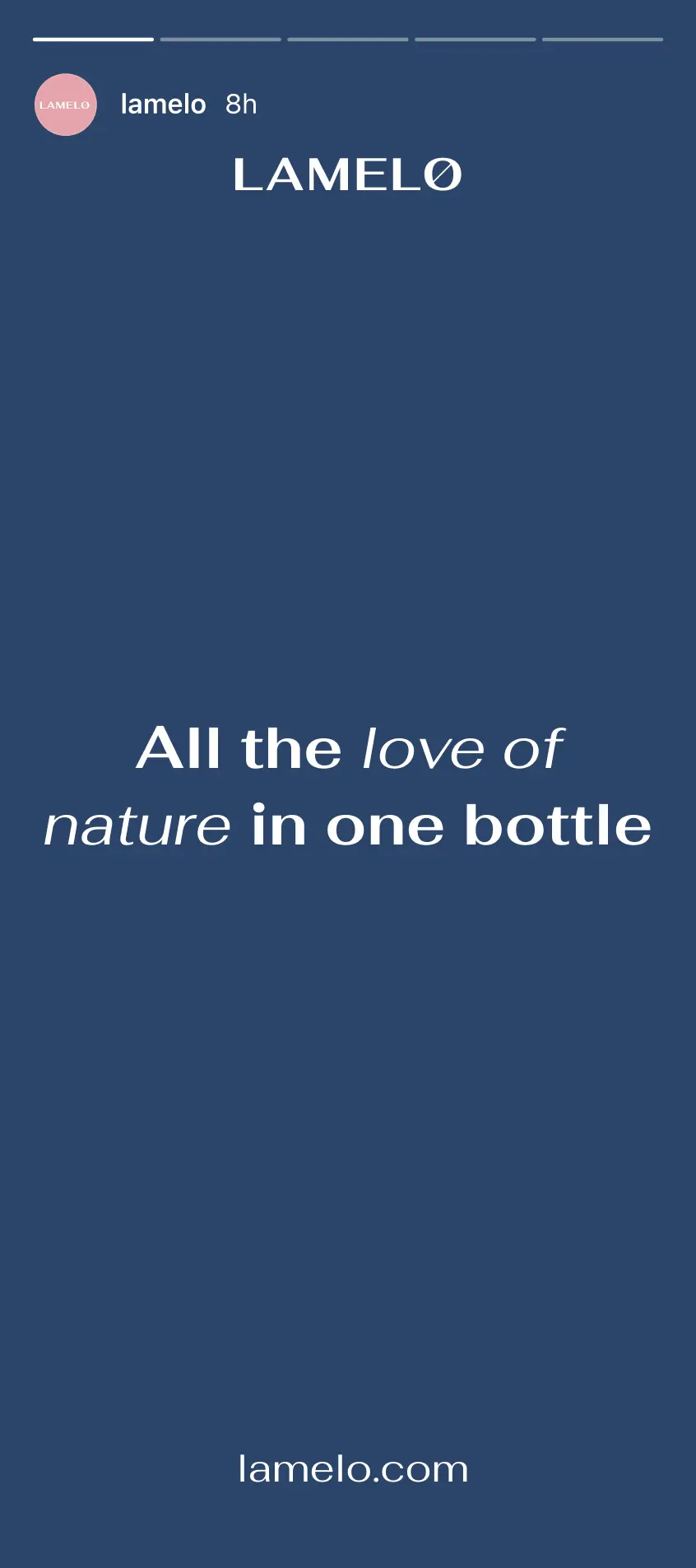 Lamelo instagram stories 1