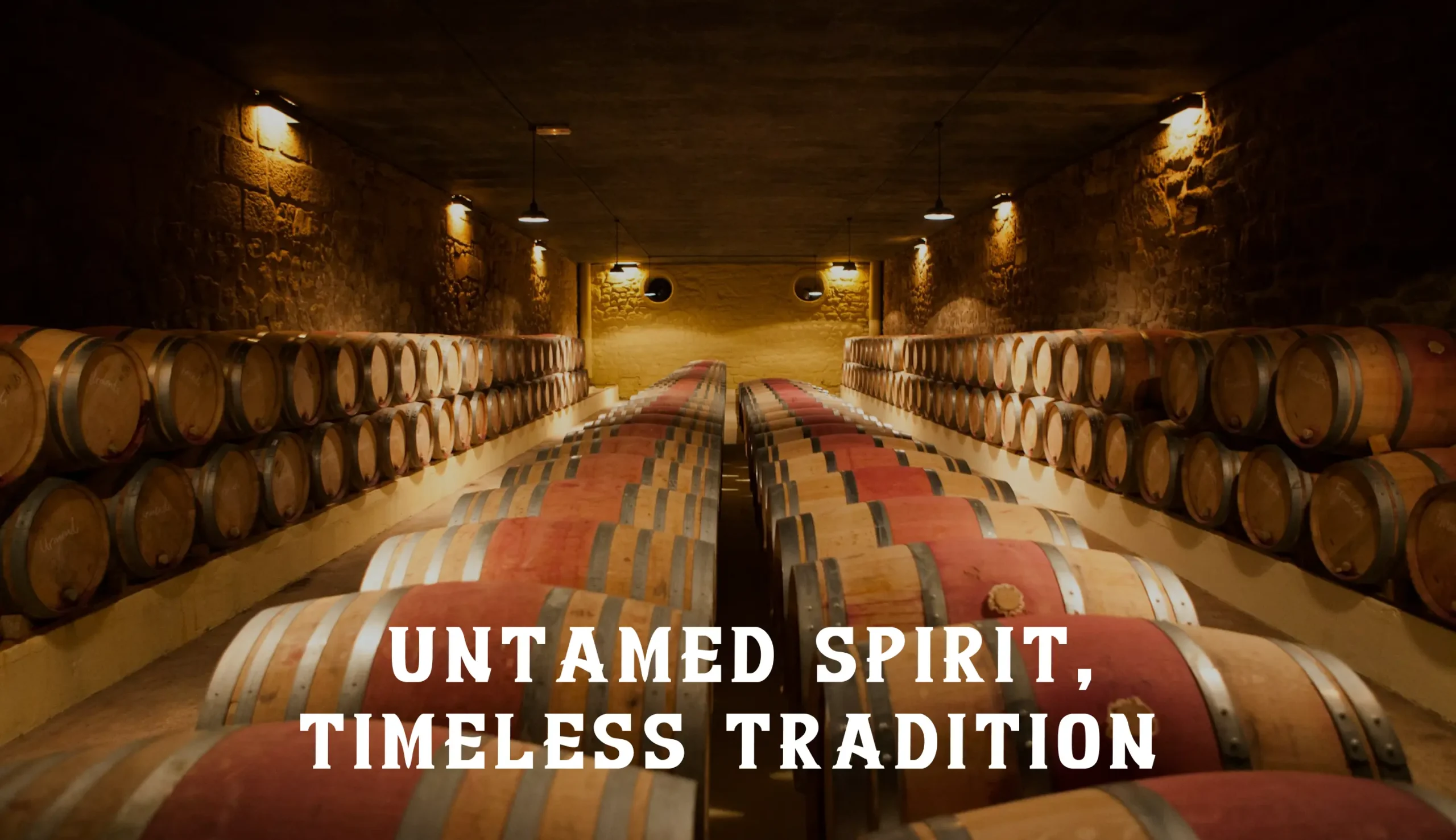 WildWood fullscreen 1