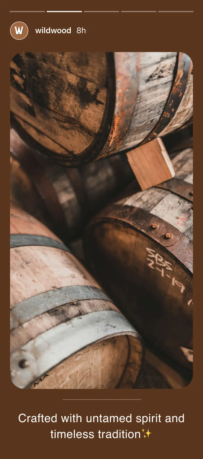 WildWood instagram stories 2