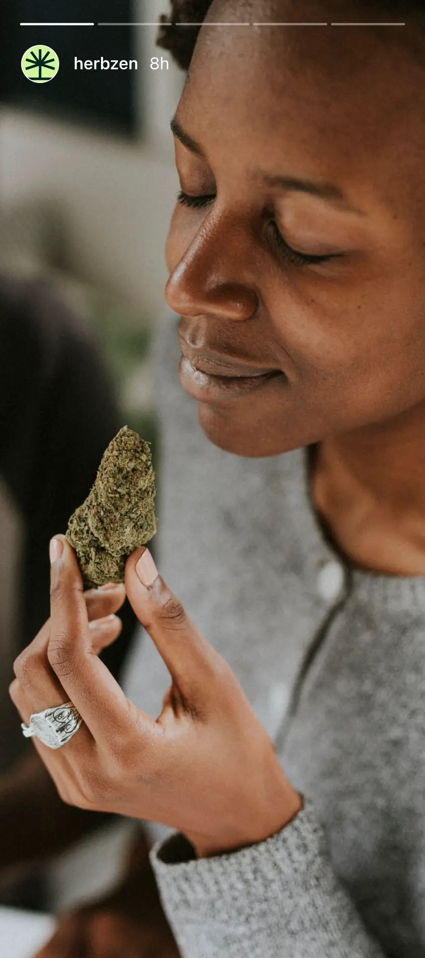 Herbzen instagram stories 1