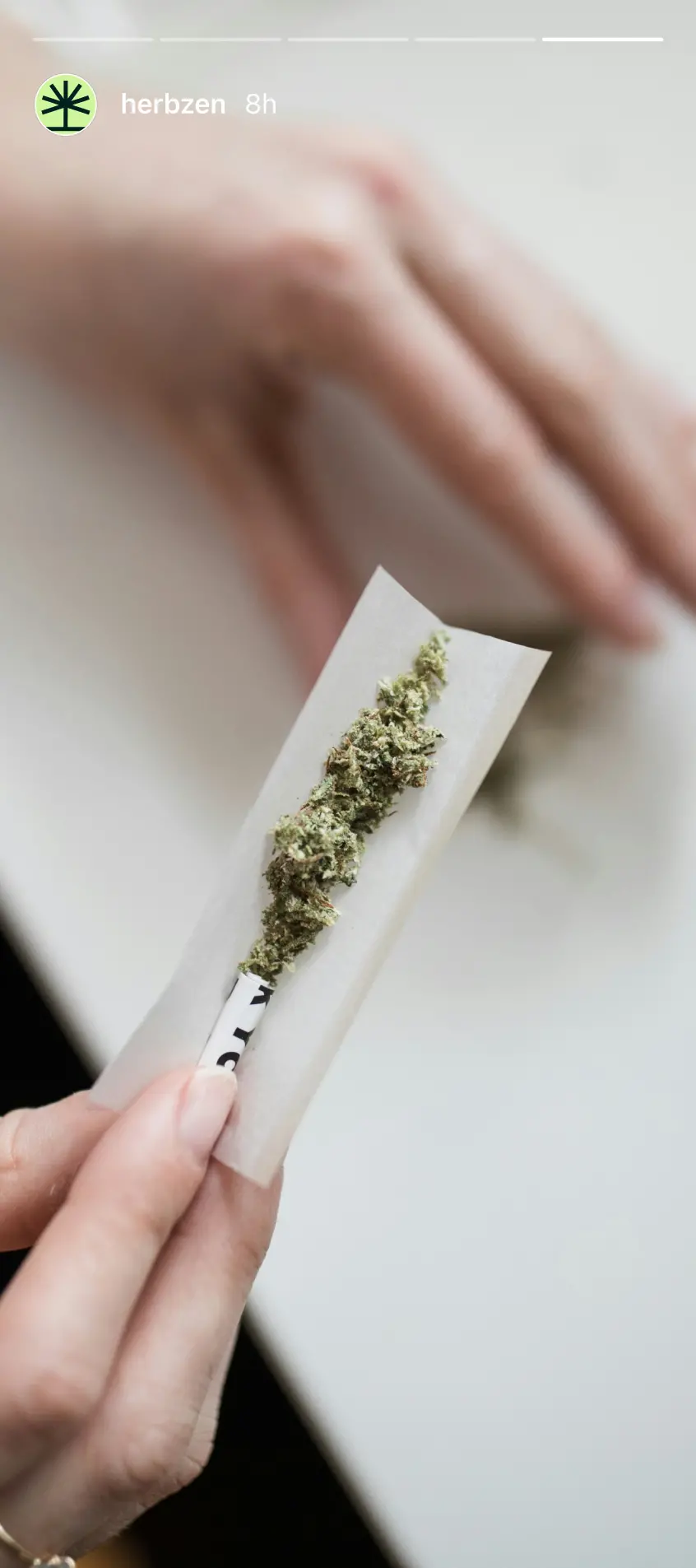 Herbzen instagram stories 3