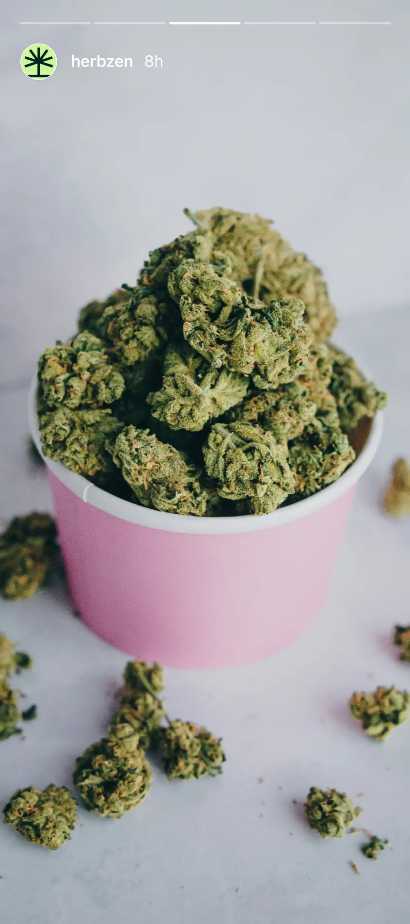 Herbzen instagram stories 5