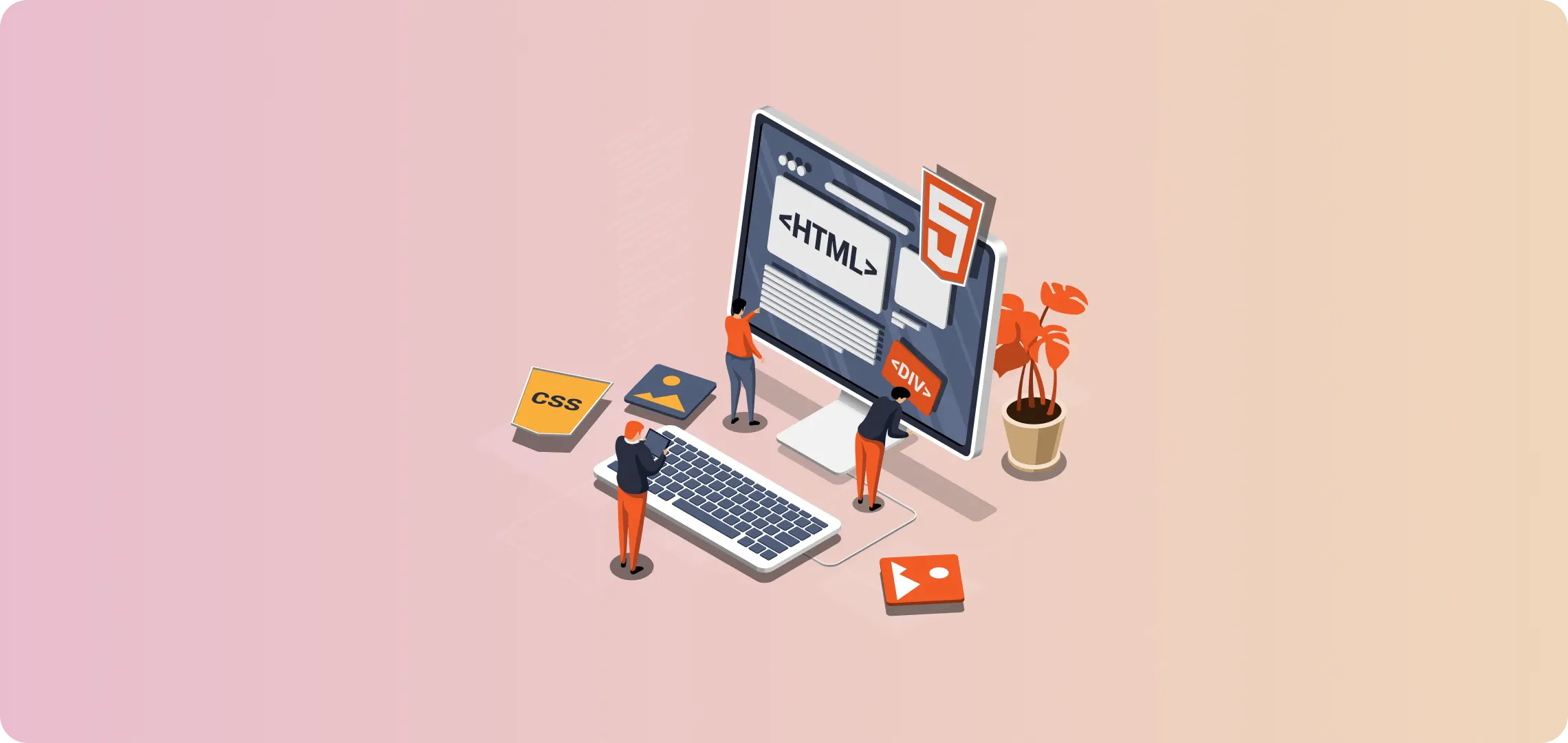 hire a wordpress developer